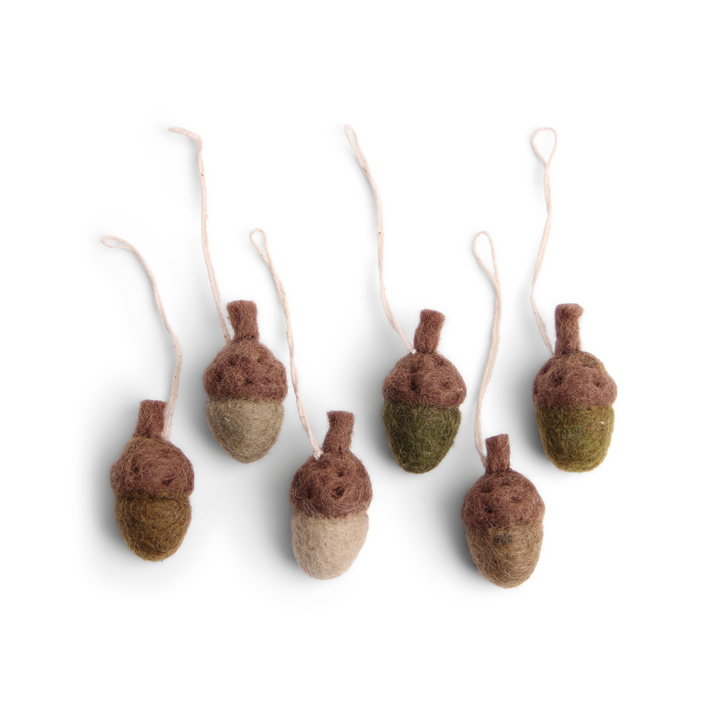 Acorns Set of 6