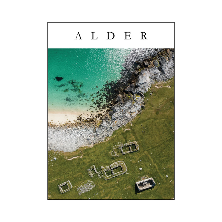 Alder Issue 3