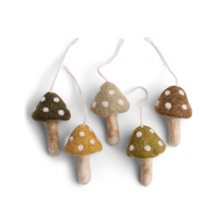 Mushrooms Set of 5